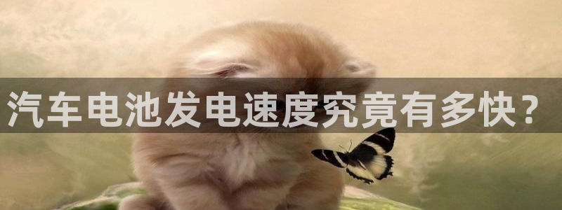 优发国际是合法的吗安全吗：汽车电池发电速度究竟有多快？