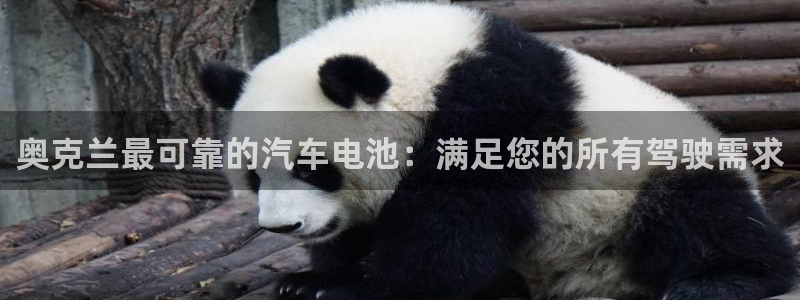 优发国际平台g8怎么样：奥克兰最可靠的汽车电池：满足您的所有驾驶需求