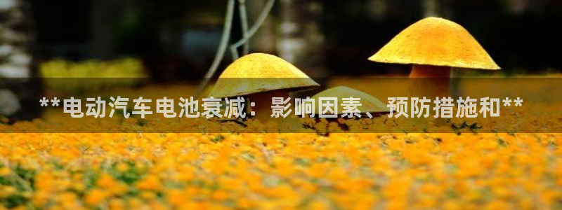 优发国际网页：**电动汽车电池衰减：影响因素、预防措施和**