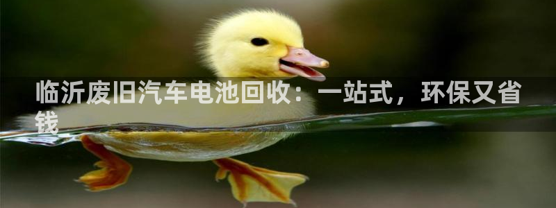 优发国际手机版下载安装：临沂废旧汽车电池回收：一站式，环保又省
钱