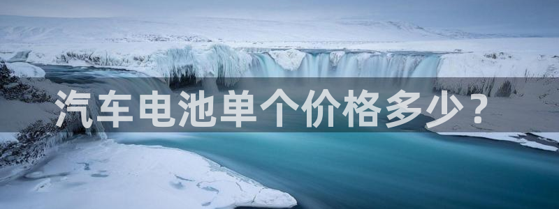 优发国际官方网平台电话：汽车电池单个价格多少？