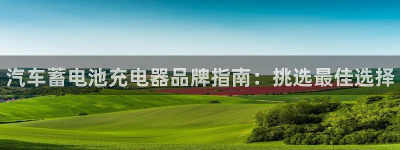 优发国际平台手机版下载：汽车蓄电池充电器品牌指南：挑选最佳选择