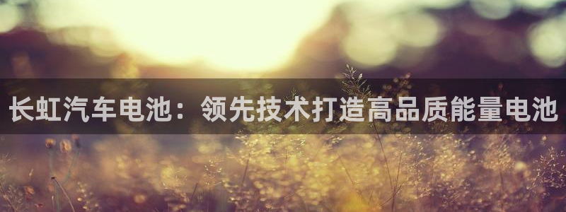 优发国际游戏17：长虹汽车电池：领先技术打造高品质能量电池