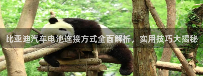 优发国际注册平台怎么样：比亚迪汽车电池连接方式全面解析，实用技巧大揭秘