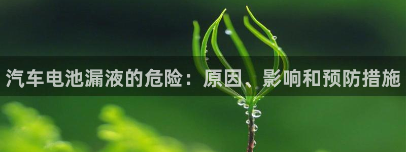 优发国际手机app下载安装苹果：汽车电池漏液的危险：原因、影响和预防措施