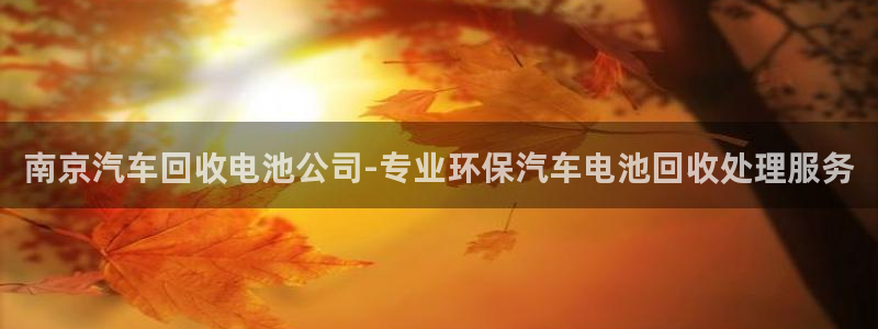 优发国际网站官网：南京汽车回收电池公司-