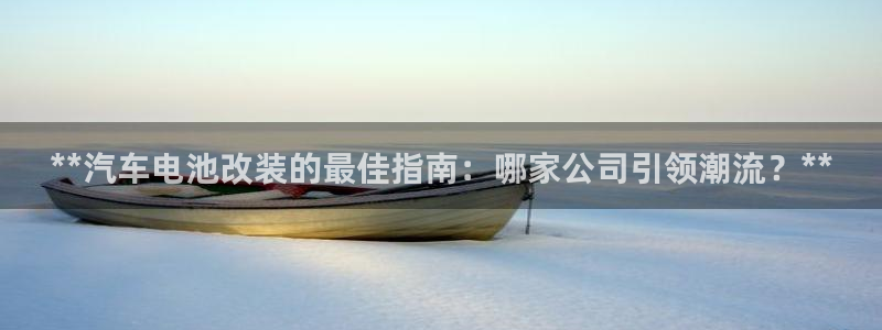 优发国际网官网17q8：**汽车电池改装的最佳指南：哪家公司引领潮流？**