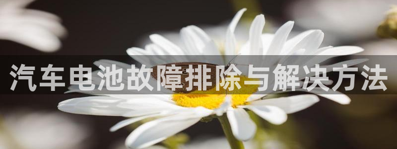 优发国际手机登录下载安装：汽车电池故障排除与解决方法