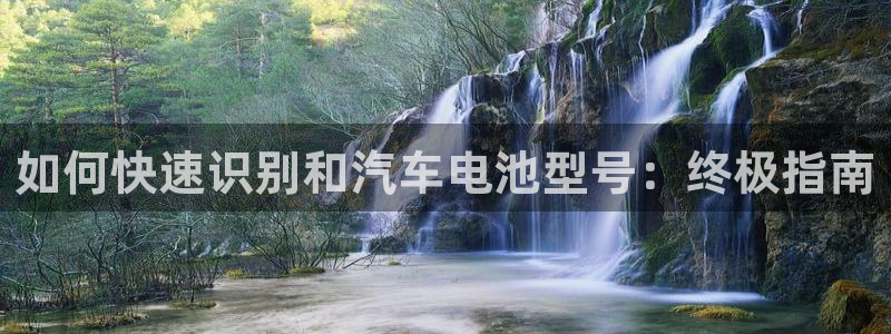 优发国际登录app：如何快速识别和汽车电池型号：终极指南