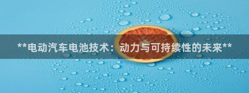 优发国际官网入口app下载苹果：**电动汽车电池技术：动力与可持续性的未来**