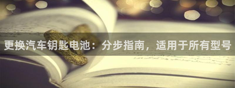 优发国际的网站是：更换汽车钥匙电池：分步指南，适用于所有型号
