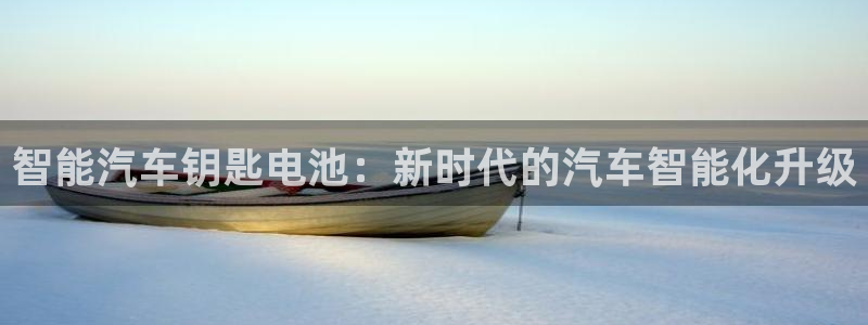 优发国际手机版网站下载：智能汽车钥匙电池：新时代的汽车智能化升级