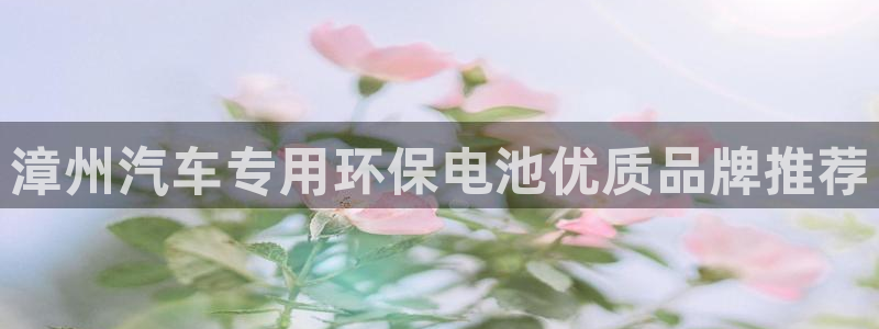 优发国际是大平台吗是真的吗：漳州汽车专用