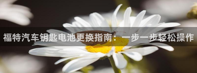 优发国际官方网手机版下载安卓：福特汽车钥匙电池更换指南：一步一步轻松操作