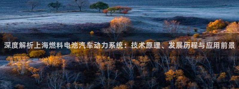 优发国际官方网手机版app：深度解析上海