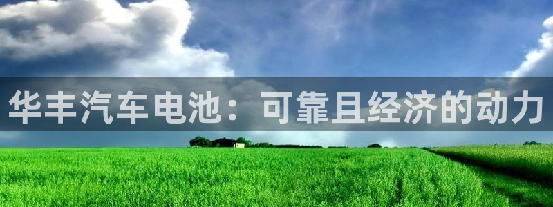 优发国际是真的吗：华丰汽车电池：可靠且经济的动力