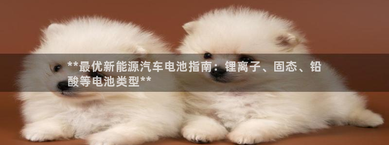 优发国际网页：**最优新能源汽车电池指南：锂离子、固态、铅
酸等电池类型**