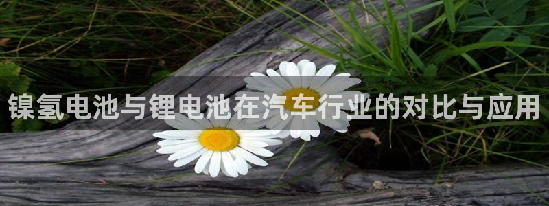 优发国际手机安装登录：镍氢电池与锂电池在