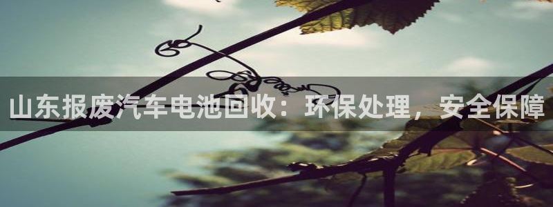 优发国际网官：山东报废汽车电池回收：环保处理，安全保障