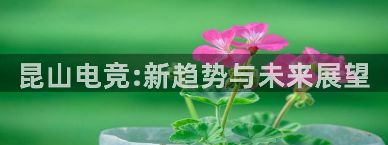 乐鱼电竞官网：昆山电竞:新趋势与未来展望