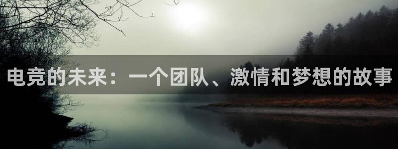 乐鱼电竞官网：电竞的未来：一个团队、激情和梦想的故事