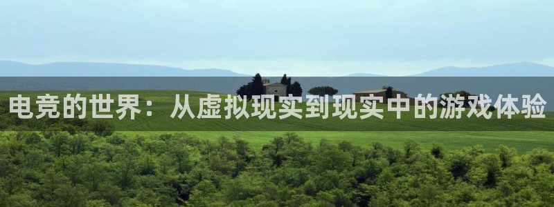 乐鱼电竞app下载：电竞的世界：从虚拟现实到现实中的游戏体验